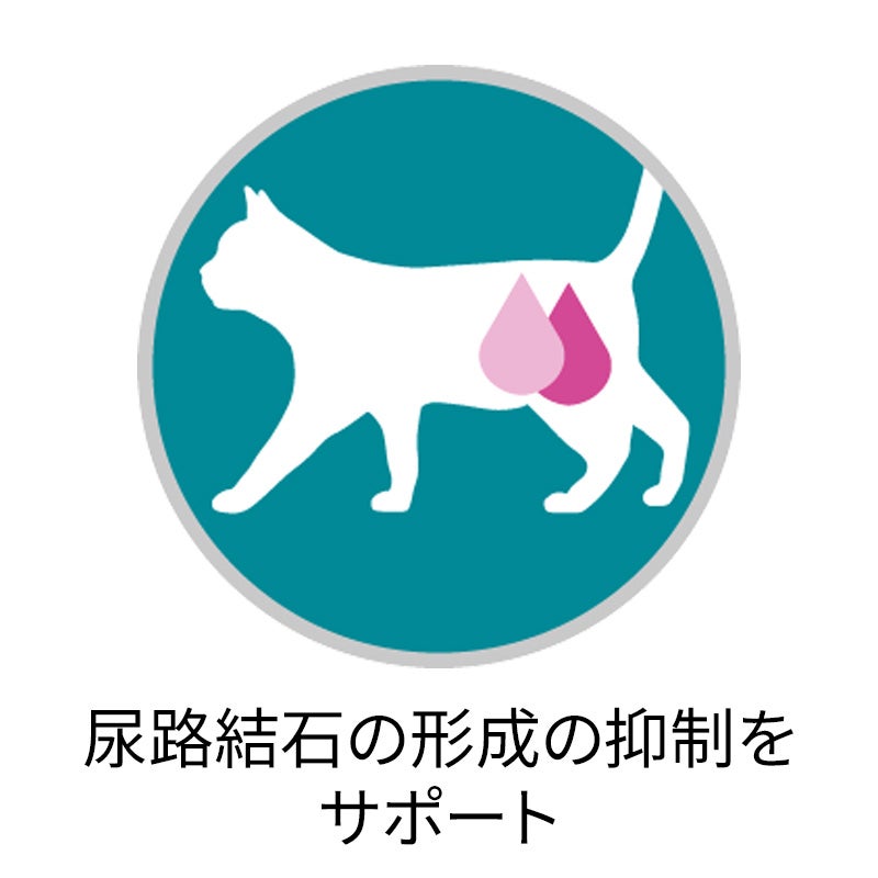 下部尿路の健康維持 F.L.U.T.H.ケア サーモン＆ツナ - ピュリナ ワン